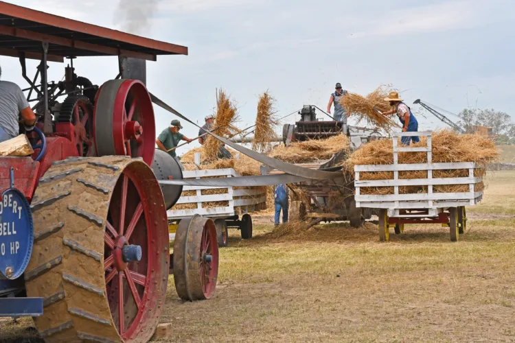 Show brings history to life